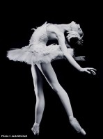 /album/fotogaleria/fd08a8d502-79545201-o2-jpg/